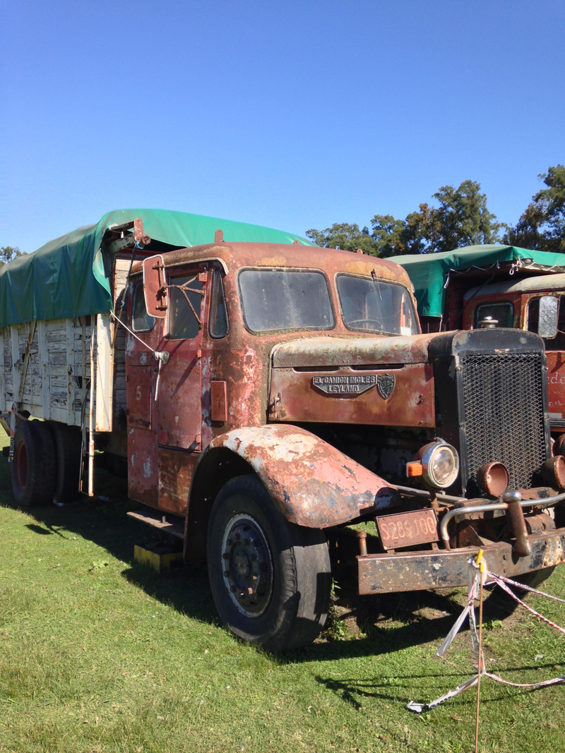 Illustration for article titled I was in Argentina last week and stumbled upon a pile of old trucks and tractors